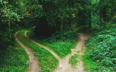 Two Roads – Which One Is For You?